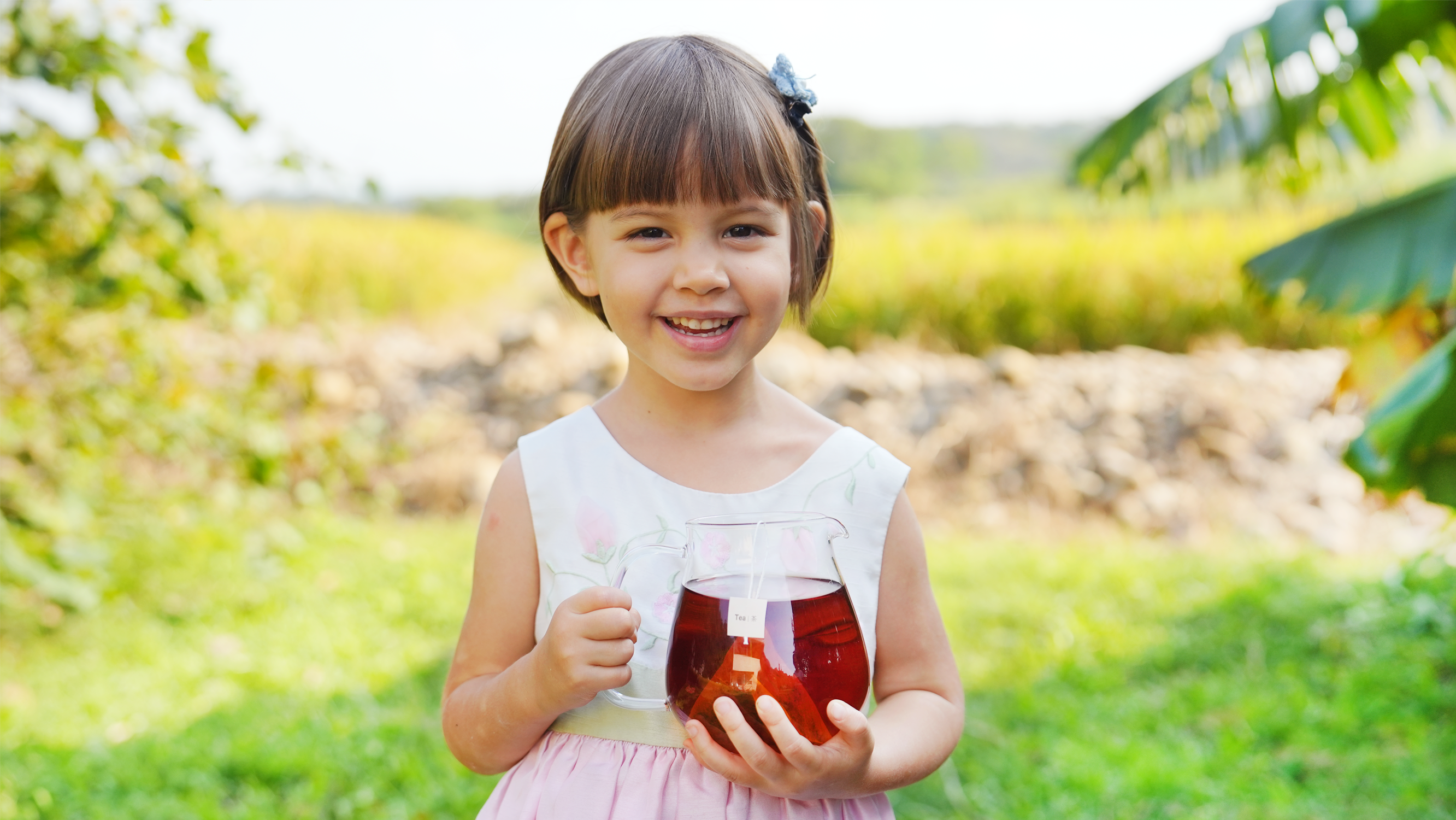 Honey-Scented Black Tea Bag (Value Pack)