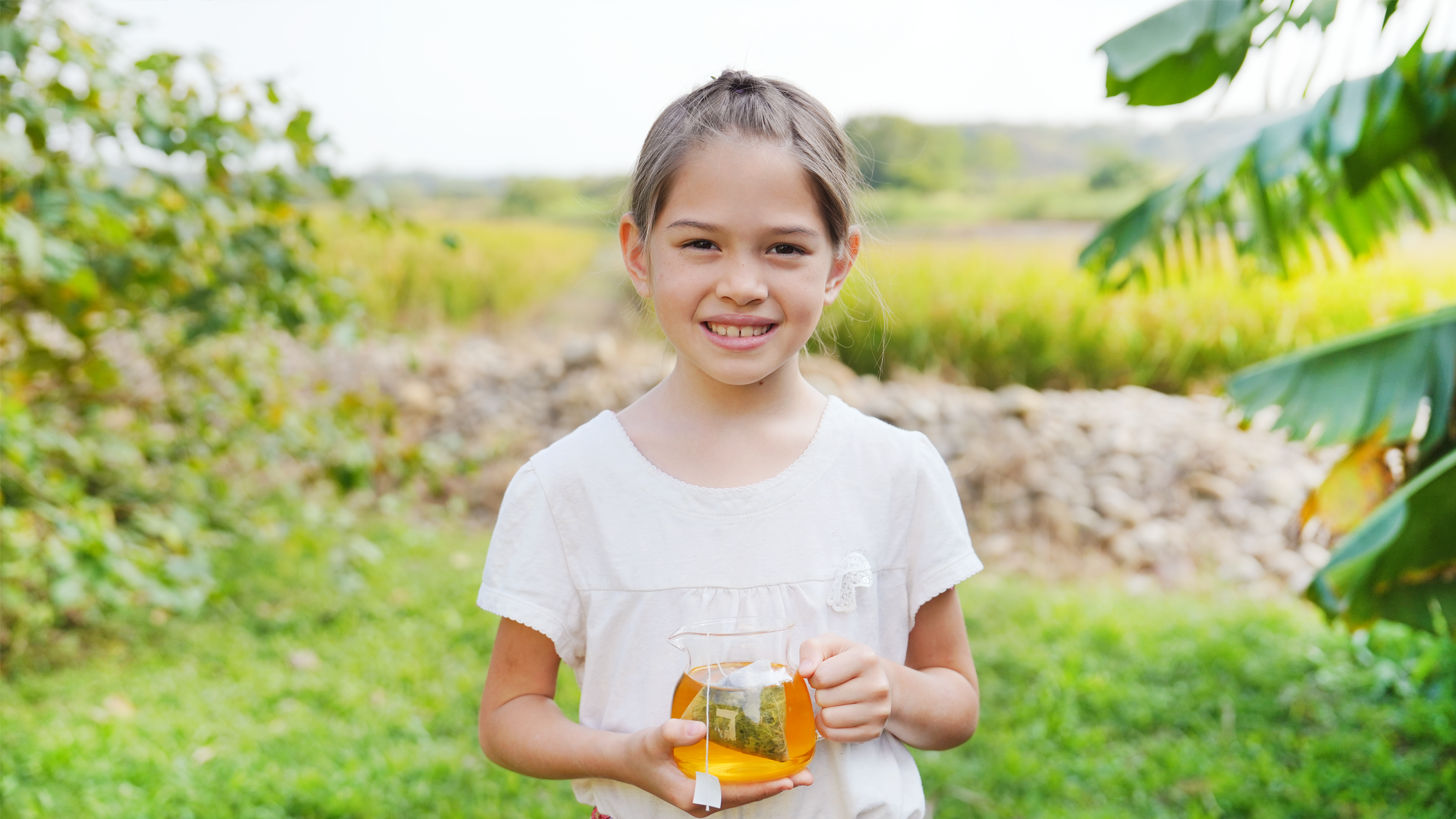 Jin Xuan Tea Bag (Value Pack)