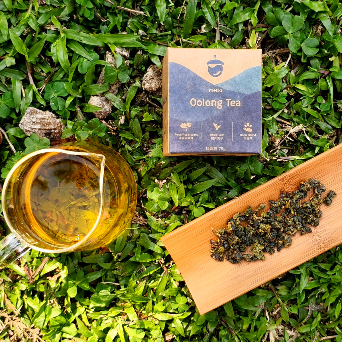 Oolong Tea (Eco+)