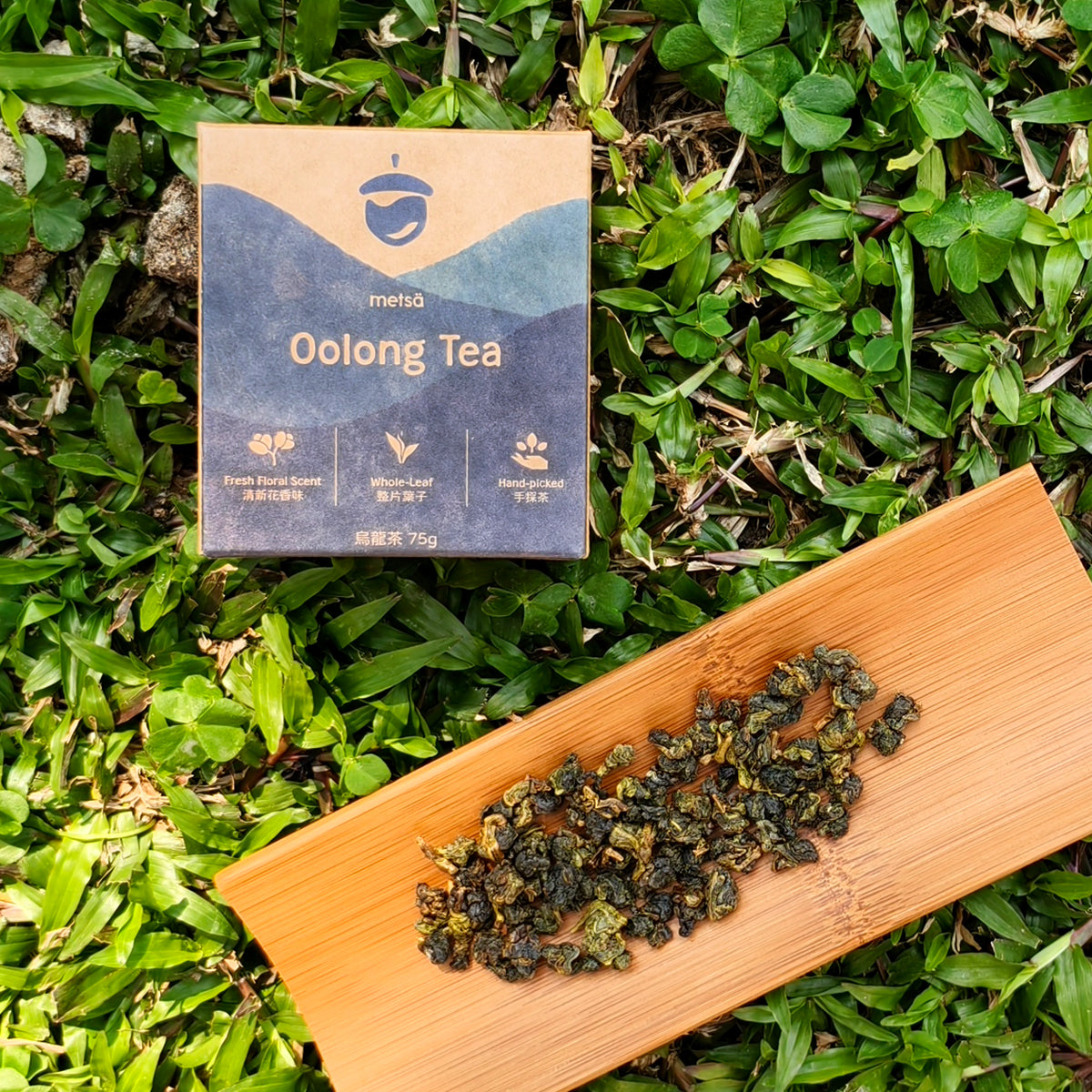 Oolong Tea (Eco+)